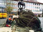 Aufstellung einer 15 Meter Tanne in N&uuml;rnberg City