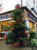 2 Meter Nordmanntanne im Topf in der N&uuml;rnberger Altstadt