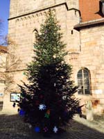 10 Meter Edeltanne in F&uuml;rth