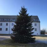 12 Meter Edeltanne in Herzogenaurach