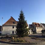 10 Meter Nordmanntanne in Herzogenaurach