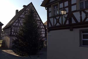 14 Meter Nordmanntanne in Herzogenaurach